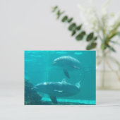Dolphin Postcard Postkarte (Stehend Vorderseite)
