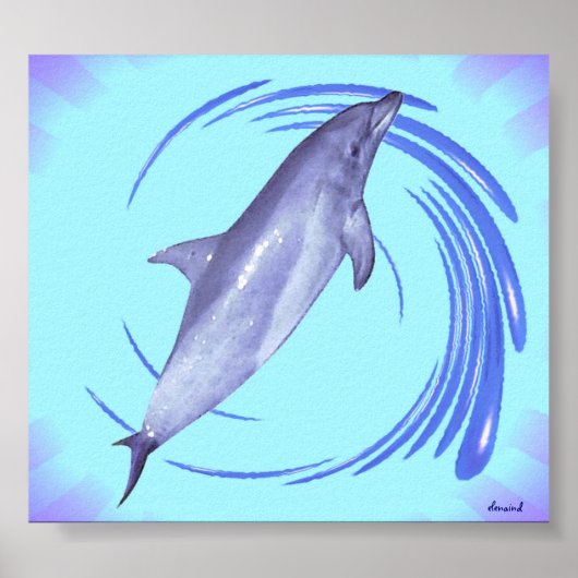 Dolphin Poster (Vorne)