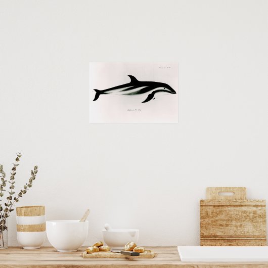 Dolphin Poster (Küche)