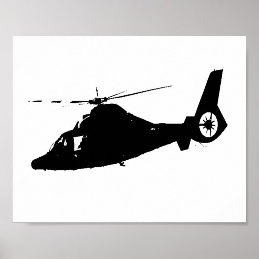 Dolphin Poster (Vorne)