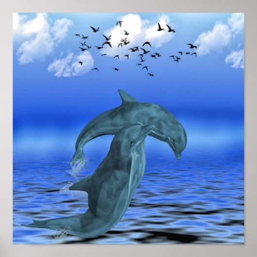 Dolphin Poster (Vorne)
