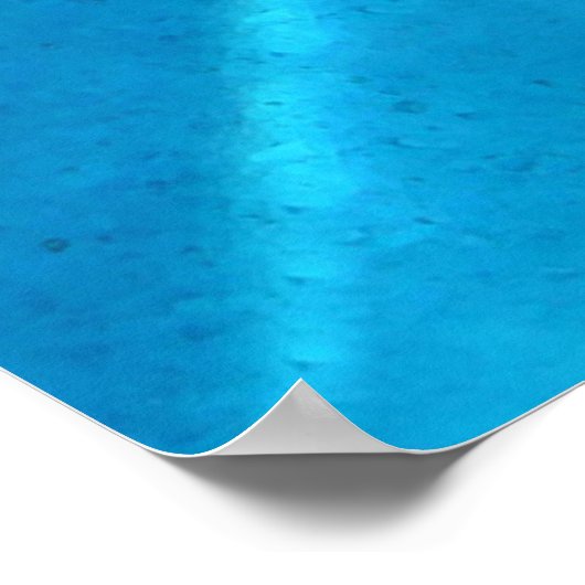 Dolphin Poster (Ecke)