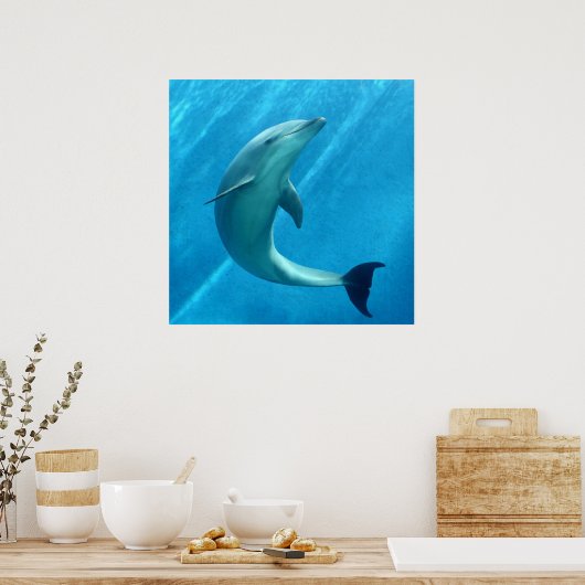 Dolphin Poster (Küche)