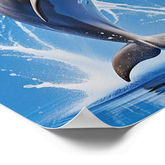Dolphin Poster (Ecke)