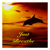 Dolphin Poster (Vorderseite)