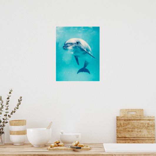 Dolphin Poster (Küche)