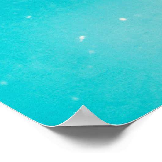 Dolphin Poster (Ecke)