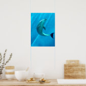 Dolphin Poster (Küche)