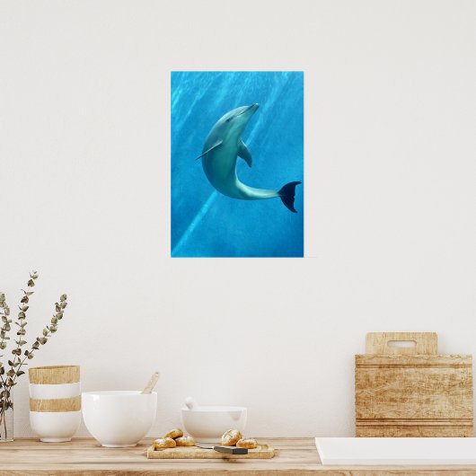 Dolphin Poster (Küche)