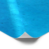 Dolphin Poster (Ecke)