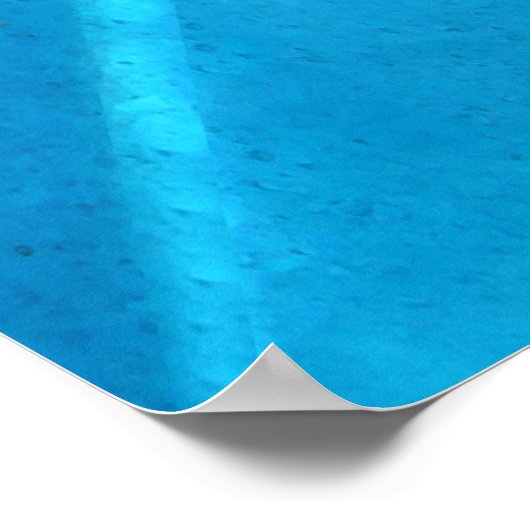 Dolphin Poster (Ecke)