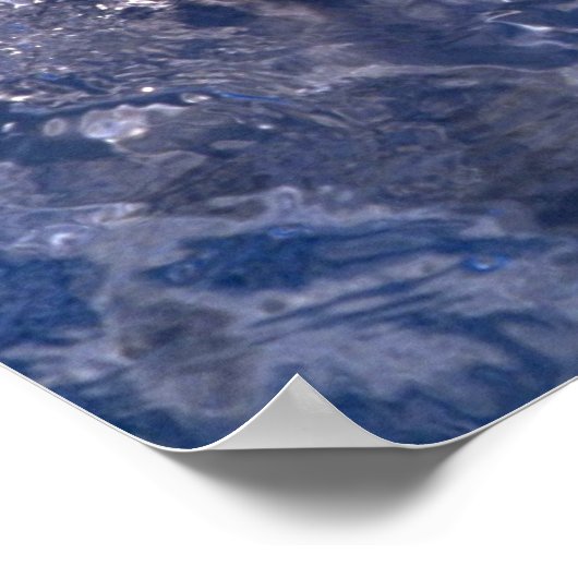 Dolphin Poster (Ecke)