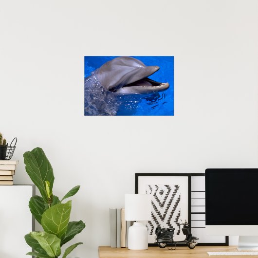 Dolphin Poster (Heimbüro)