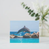 Dolphin Postkarte (Stehend Vorderseite)