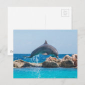 Dolphin Postkarte (Vorne/Hinten)