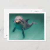 Dolphin Postkarte (Vorne/Hinten)