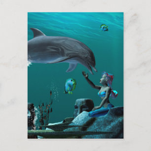 Dolphin Postkarte