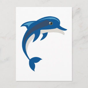 Dolphin Postkarte