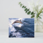 Dolphin Postkarte (Stehend Vorderseite)