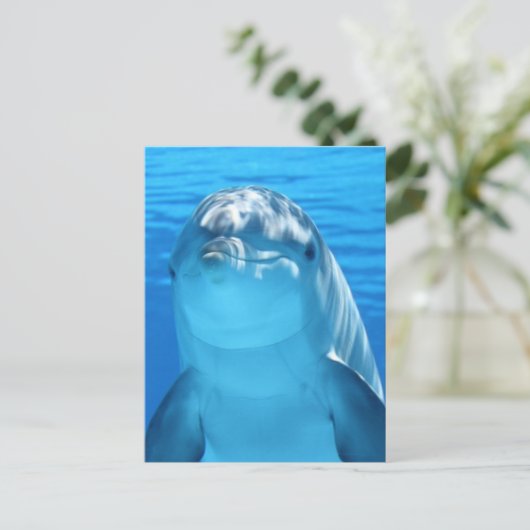 Dolphin Postkarte (Stehend Vorderseite)