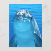 Dolphin Postkarte (Vorderseite)