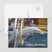 Dolphin Postkarte (Vorne/Hinten)