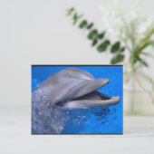 Dolphin Postkarte (Stehend Vorderseite)