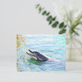 Dolphin Postkarte (Stehend Vorderseite)
