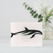 Dolphin Postkarte (Stehend Vorderseite)