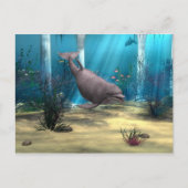 Dolphin Postkarte (Vorderseite)