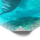Dolphin Printwerbung Poster (Ecke)