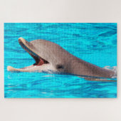 Dolphin Puzzle (Horizontal)