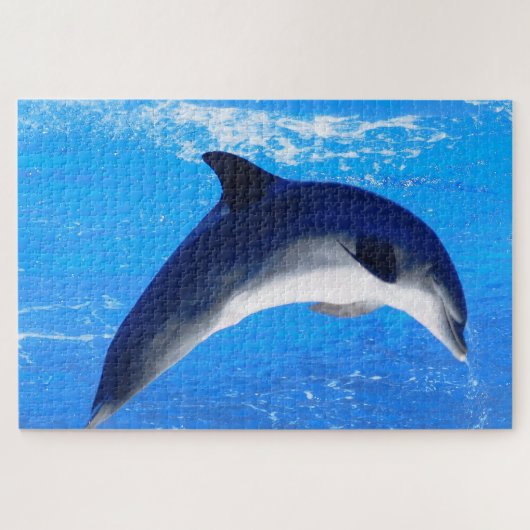 Dolphin Puzzle (Horizontal)