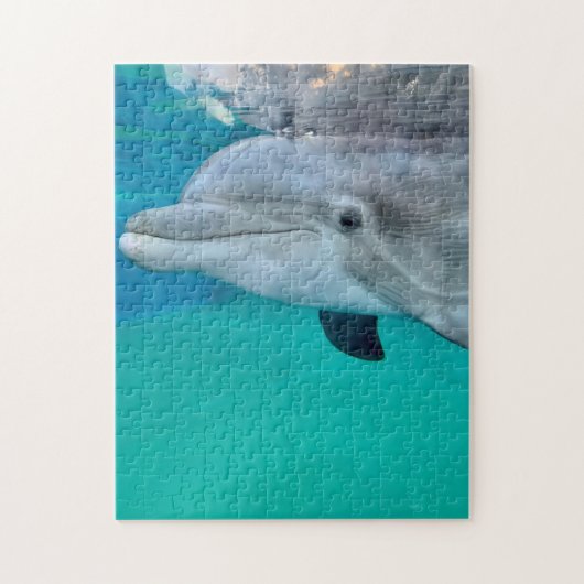 Dolphin Puzzle (Vertikal)