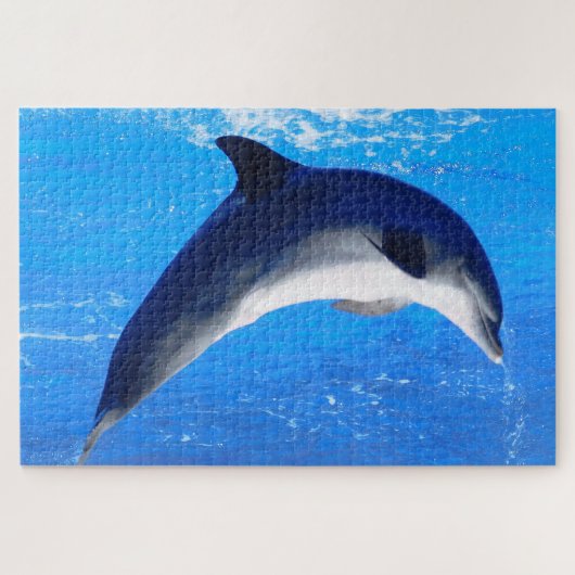 Dolphin Puzzle (Horizontal)