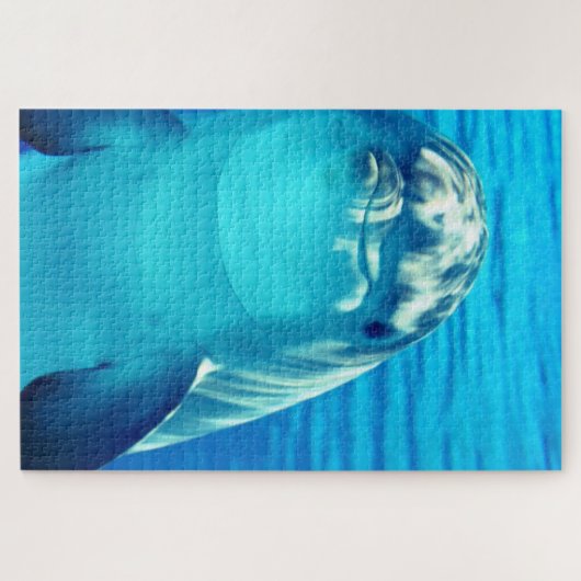 Dolphin Puzzle (Horizontal)