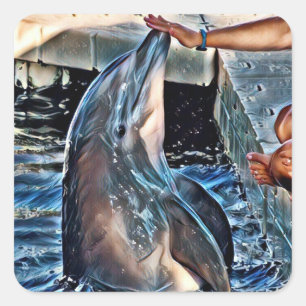 Dolphin Quadratischer Aufkleber