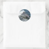 Dolphin Runder Aufkleber (Tasche)