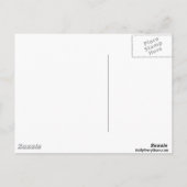 Dolphin Sandcastle Postcard Postkarte (Rückseite)