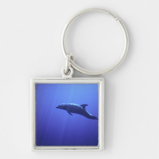 Dolphin Schlüsselanhänger (Vorne)