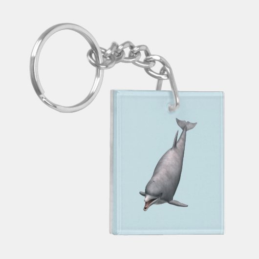 Dolphin Schlüsselanhänger (Vorderseite links)