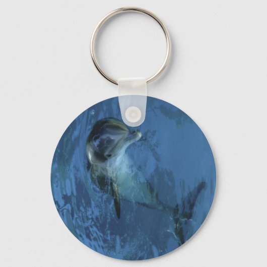 Dolphin-Schlüsselanhänger Schlüsselanhänger (Vorderseite)