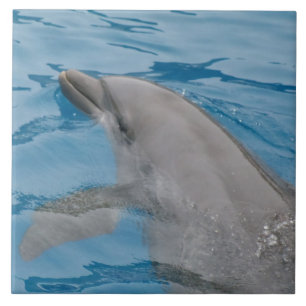 Dolphin-Schwimmen in den Tiefen des blauen Ozeans Fliese