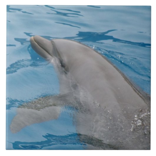 Dolphin-Schwimmen in den Tiefen des blauen Ozeans Fliese (Vorderseite)