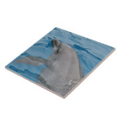 Dolphin-Schwimmen in den Tiefen des blauen Ozeans Fliese (Seite)