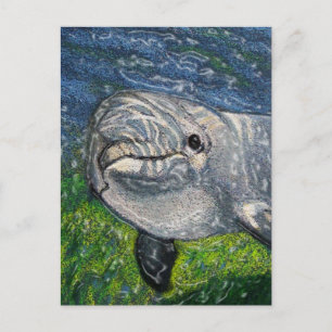 Dolphin Schwimmen unter Wasser: Dappled Sunlight Postkarte