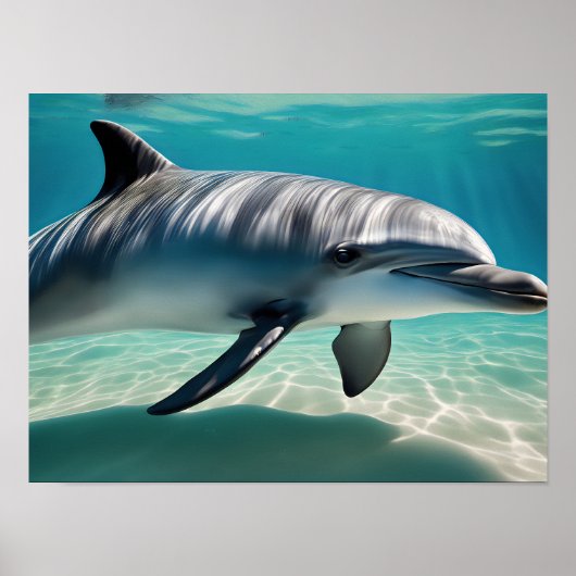 Dolphin Schwimmen Unterwasser Poster (Vorne)