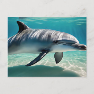 Dolphin Schwimmen Unterwasser Postkarte