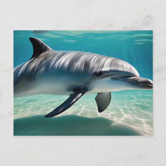 Dolphin Schwimmen Unterwasser Postkarte (Vorderseite)