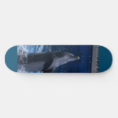 Dolphin Skateboard (Horizontal)